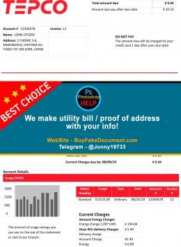 Japan Tokyo Electric Power Company electricity utility bill